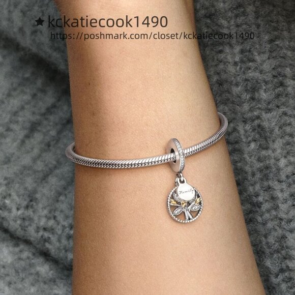 Pandora Family Heritage Dangle Charm with Cubic Zirconia|Two-tone - Picture 2 of 2